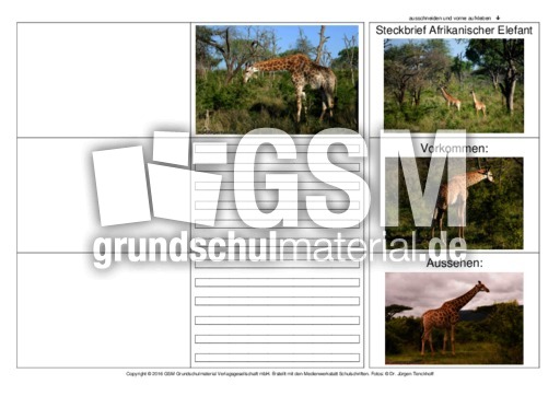 Flip-Flap-Giraffe-1.pdf